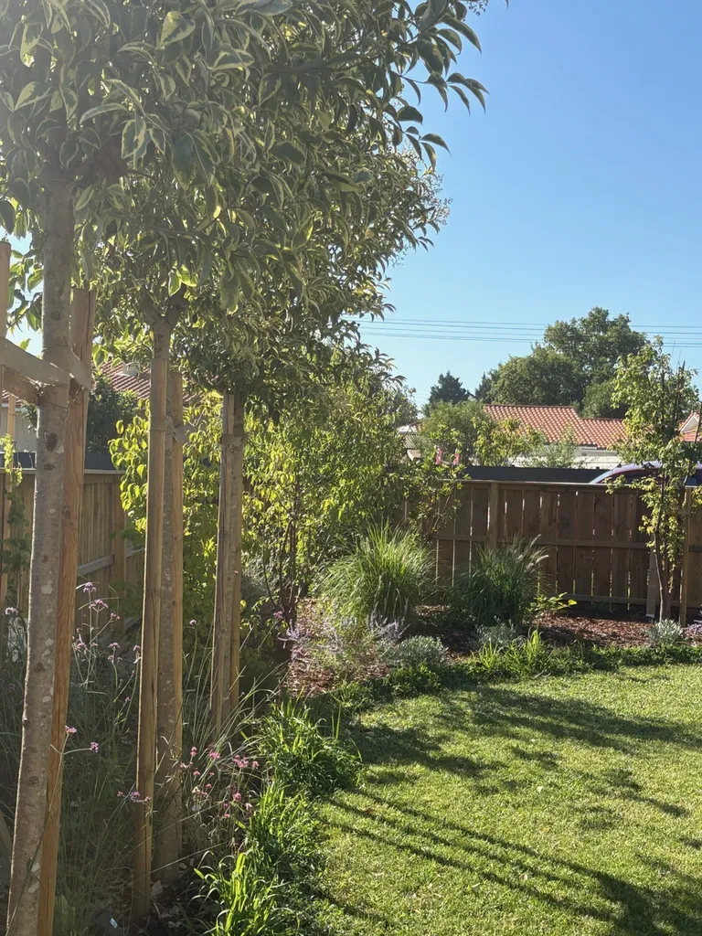 Aménagement complet de jardin à Mimizan – Création de massifs, plantation de vivaces et gazon micro-trèfle