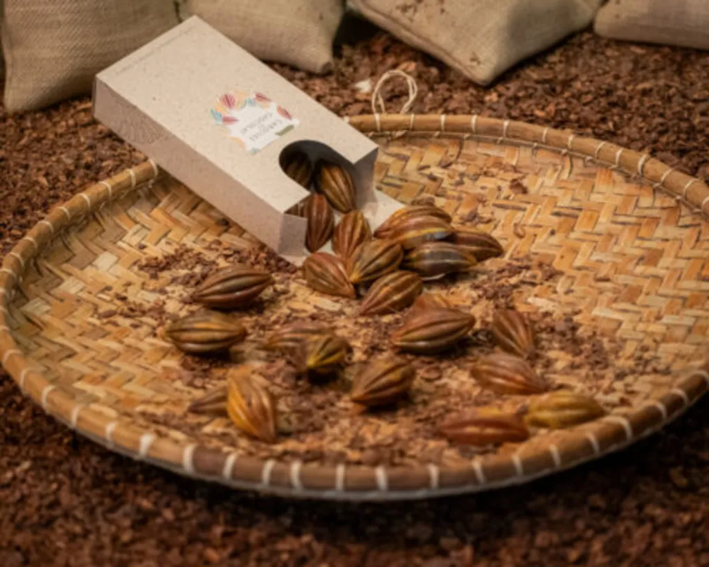 Des mini-cabosses chocolat noir ou lait au cœur fondant de praliné noisette ou pistache