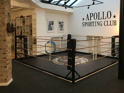 Le ring 