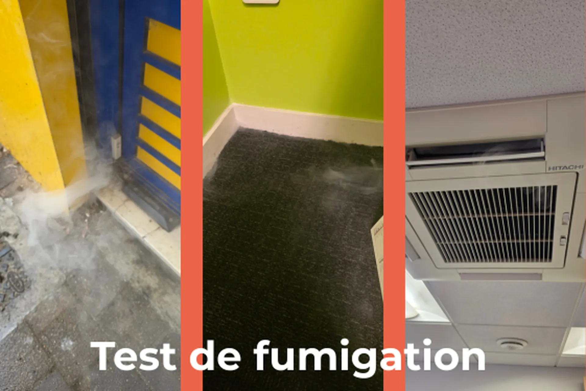 teste de fumigation pour déterminer les travaux à réaliser 