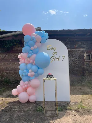 gender reveal decor ballon buzzer