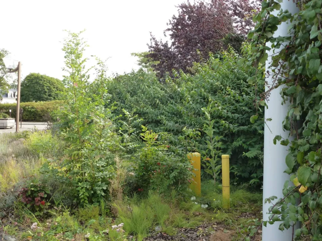 avant notre passage il etait temps intervenir