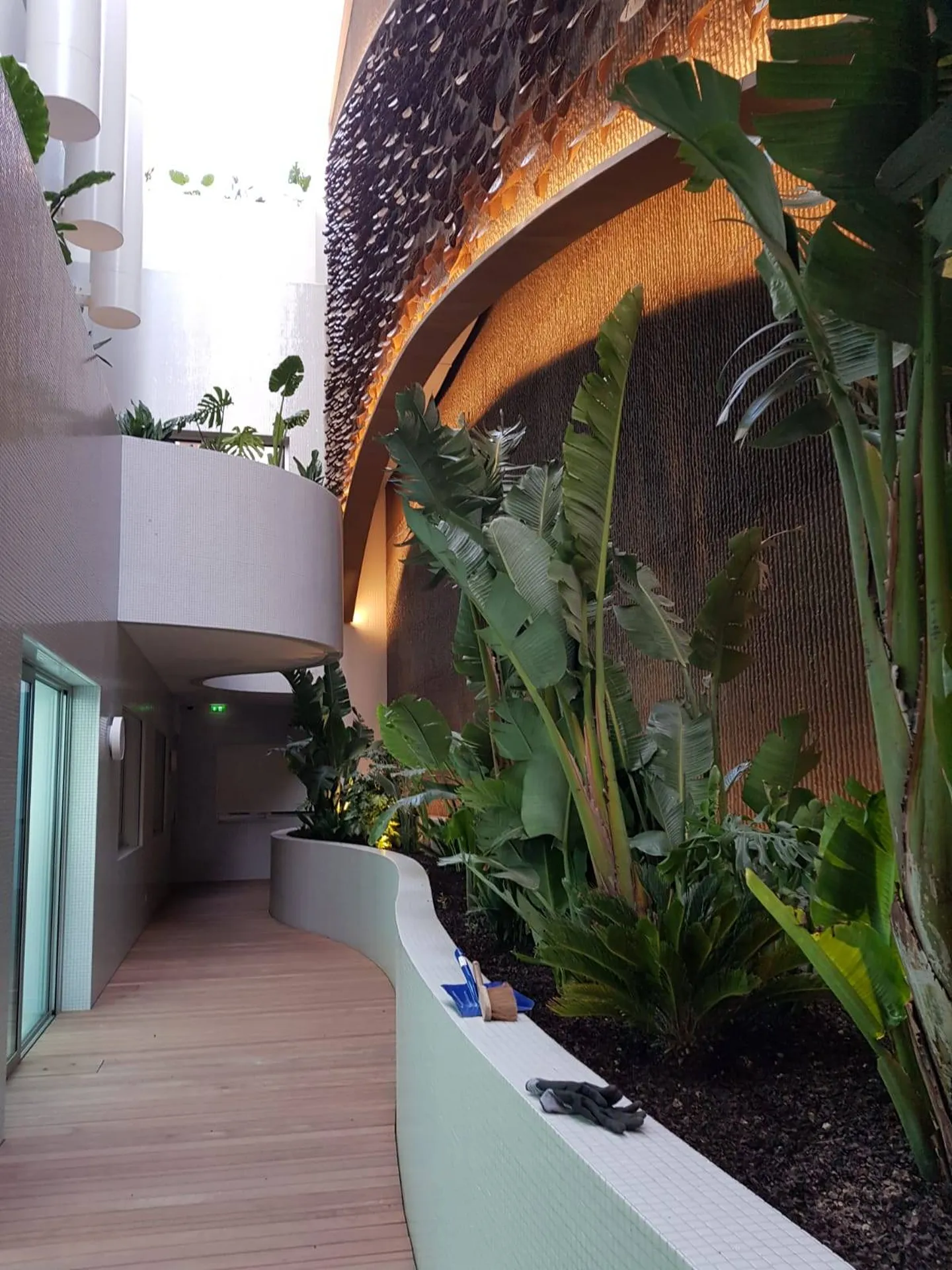 Entretien d'espaces verts exotiques à Monaco