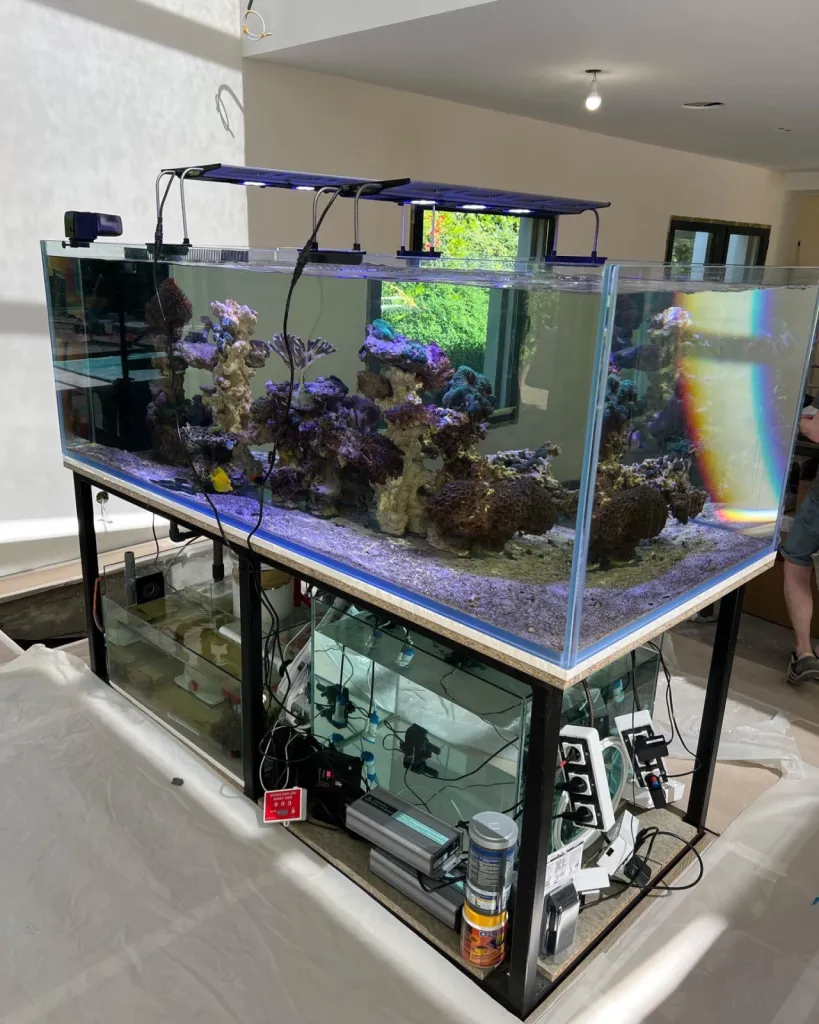 Vue d'ensemble aquarium et zone technique