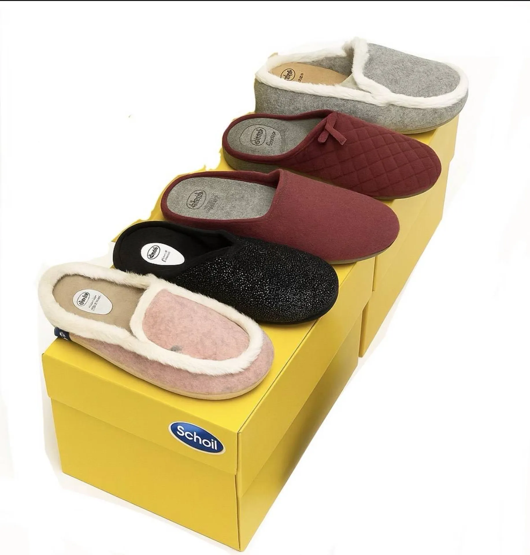 MILLY / RACHELE / LAYE 2.0