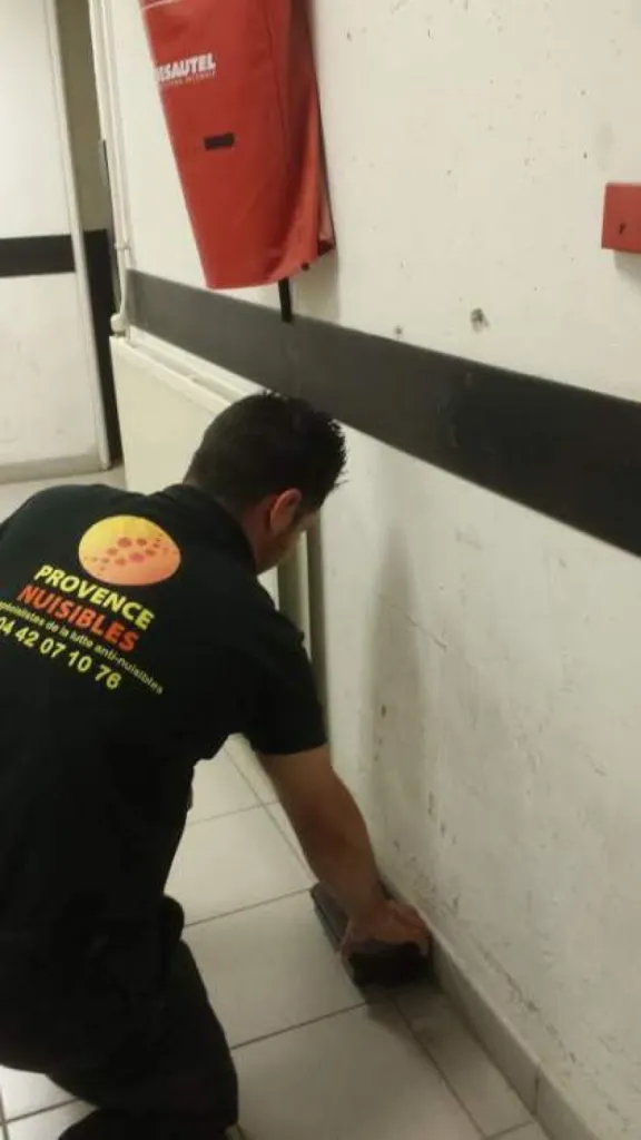 dératisation la barben 13330