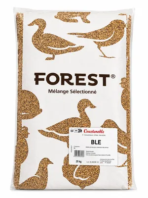 Blé pour alimentation animale céréale de qualité pour élevage et particuliers