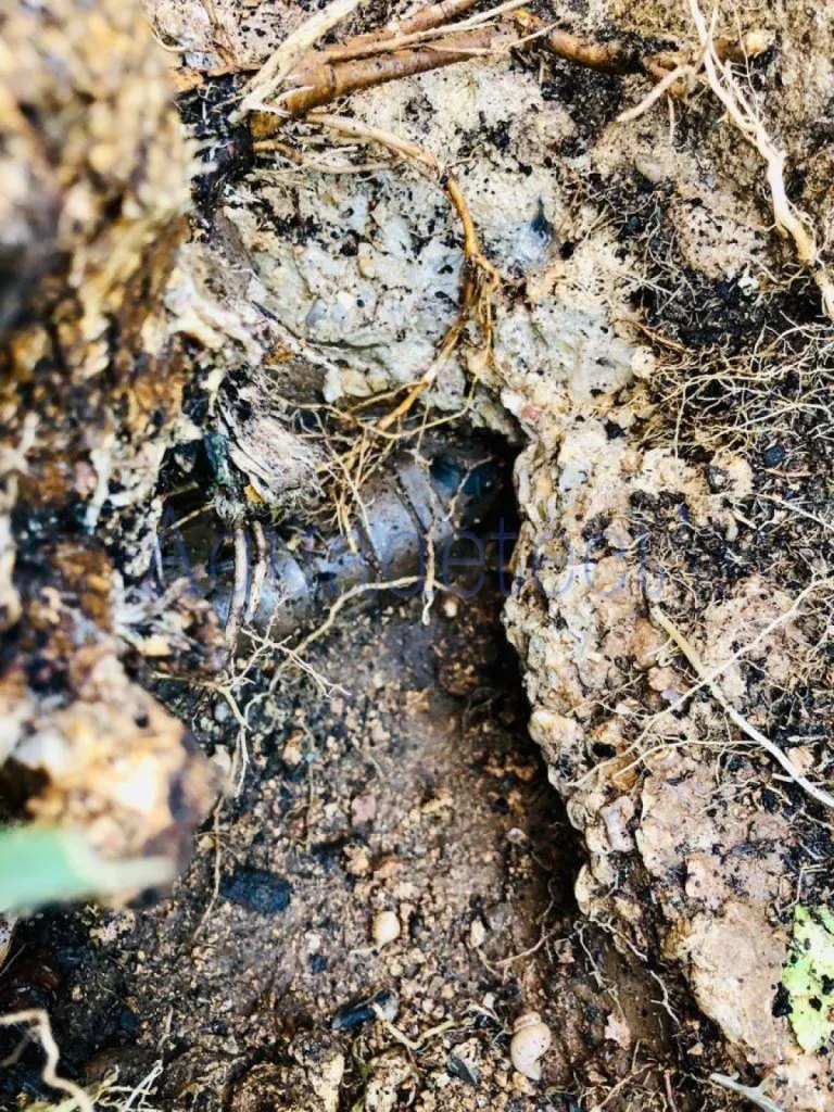 Recherche de fuite non destructive à BRIGNOLES