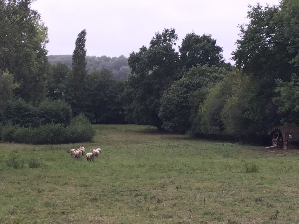 VENTE CHAUMIERE NORMANDIE, LISIEUX