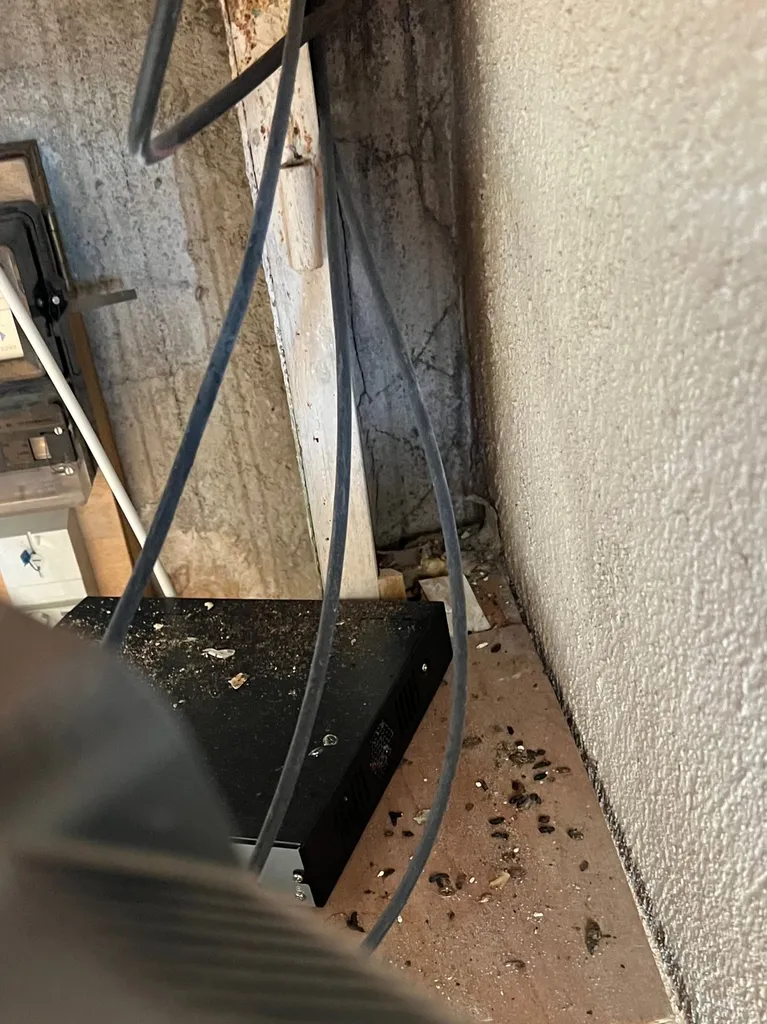 Infestation de rats dans une maison de village a Eguilles dans les Bouches-du-Rhone (13)