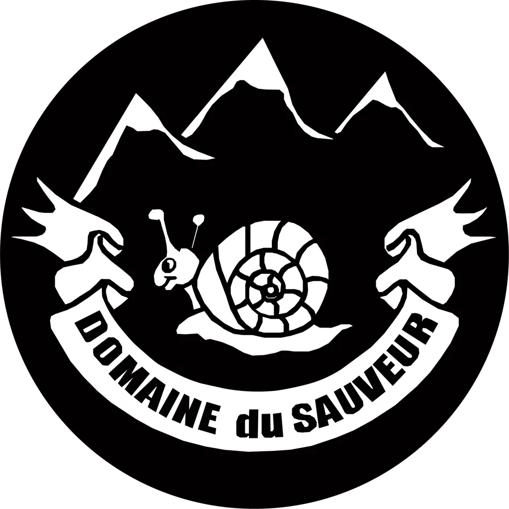 Location chalets et appartements Luz Saint Sauveur - Hautes-Pyrénées Domaine du sauveur