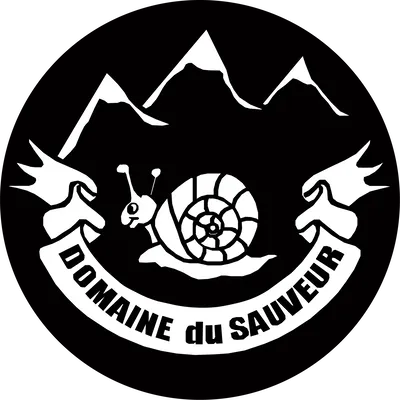 Location chalets et appartements Luz Saint Sauveur - Hautes-Pyrénées Domaine du sauveur