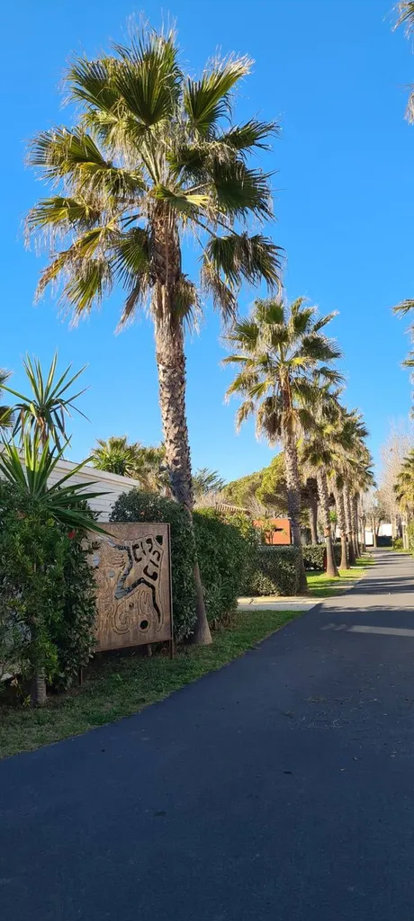 Camping familial proche de Méze et de Sète à Vias plage bord de plage