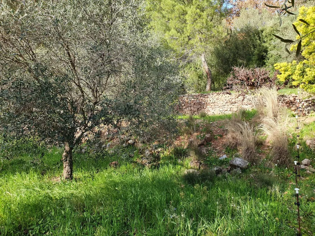 dans quartier résidentiel terrain SOLLIES-PONT