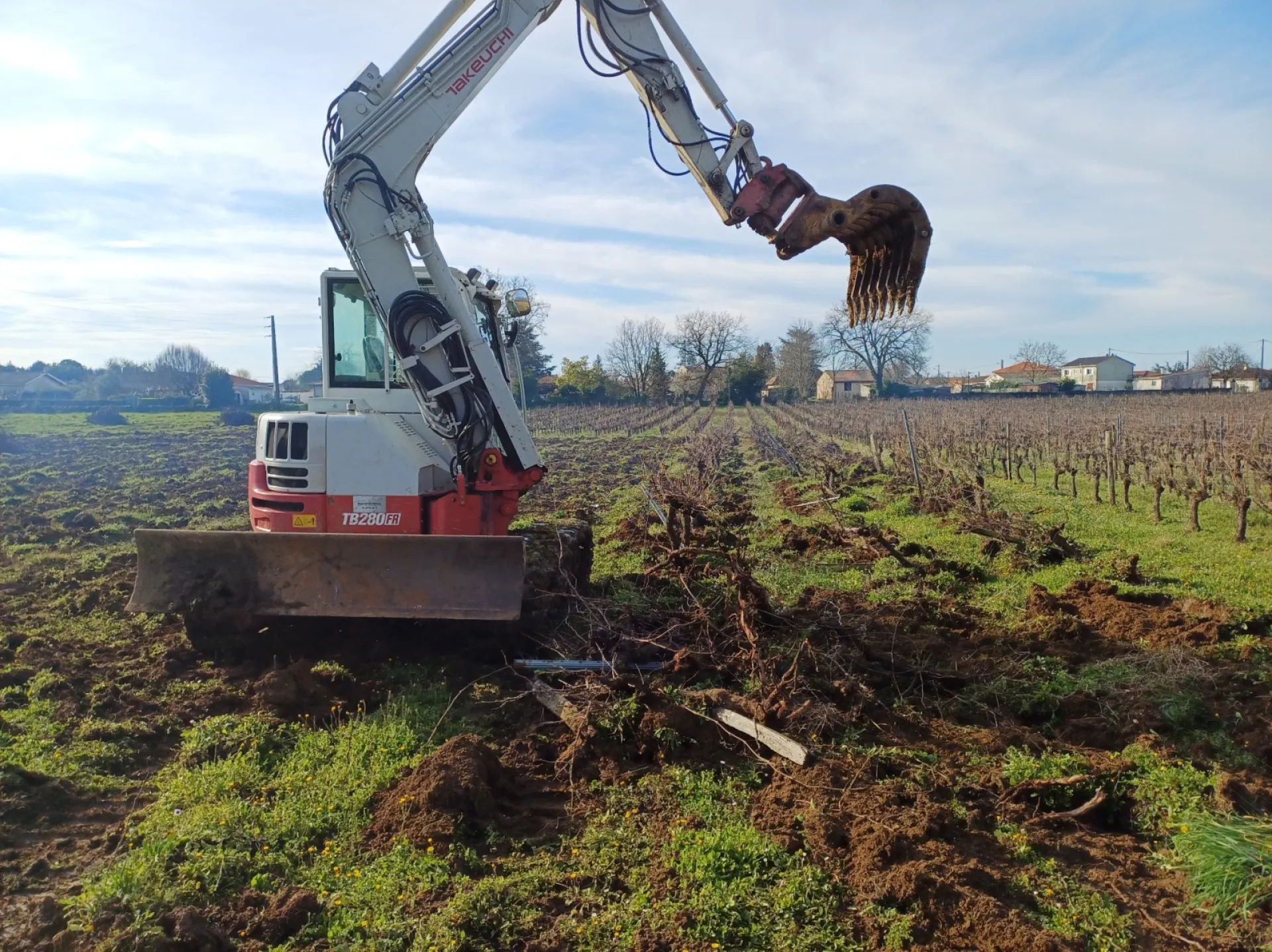 Travaux arrachage vigne  pour vignoble sur Pessac Léognan en Gironde