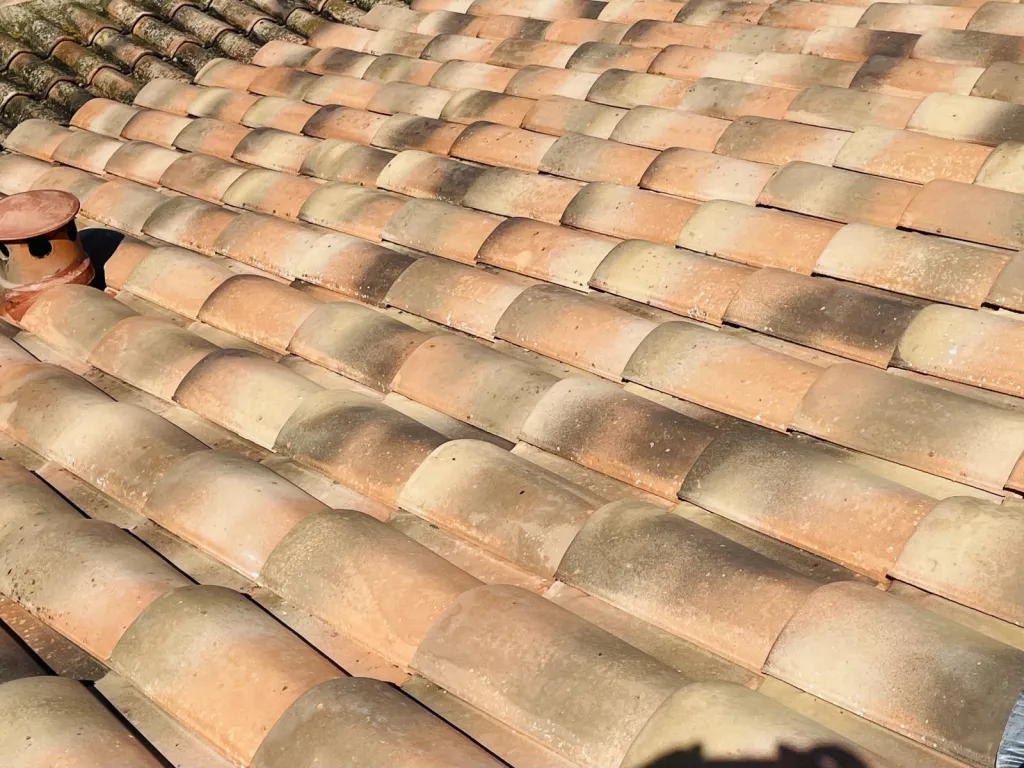 Nettoyage et traitement de tuiles mécaniques Abeilles sur Bouc Bel Air près de Aix en Provence 