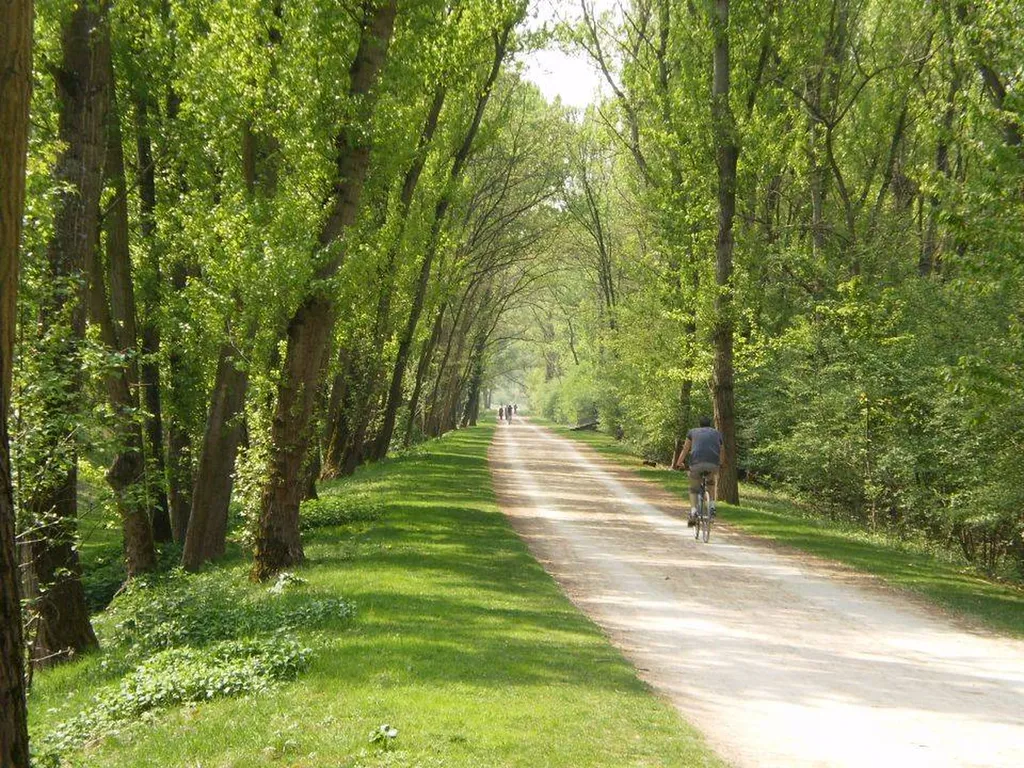 Promenade au parc de Miribel Jonage à vélo en passant par le parc de la Feyssine proche de Lyon