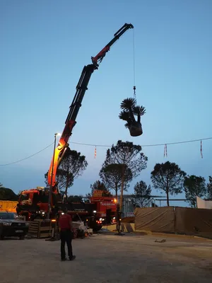 Levage de cyca avec grue à Monaco