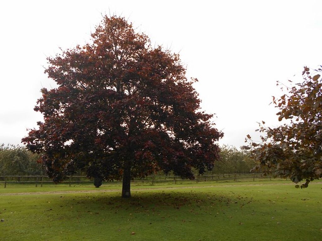 Agence Immobilière TERRES ET DEMEURES DE NORMANDIE LISIEUX, MAISONS DE CHARME
