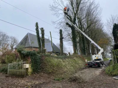 Abattage d'arbre etretat