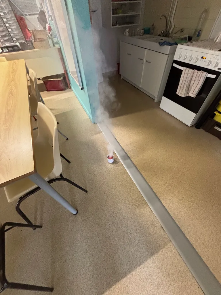 entreprise spécialisé utilisation fumigène fourmis blattes 