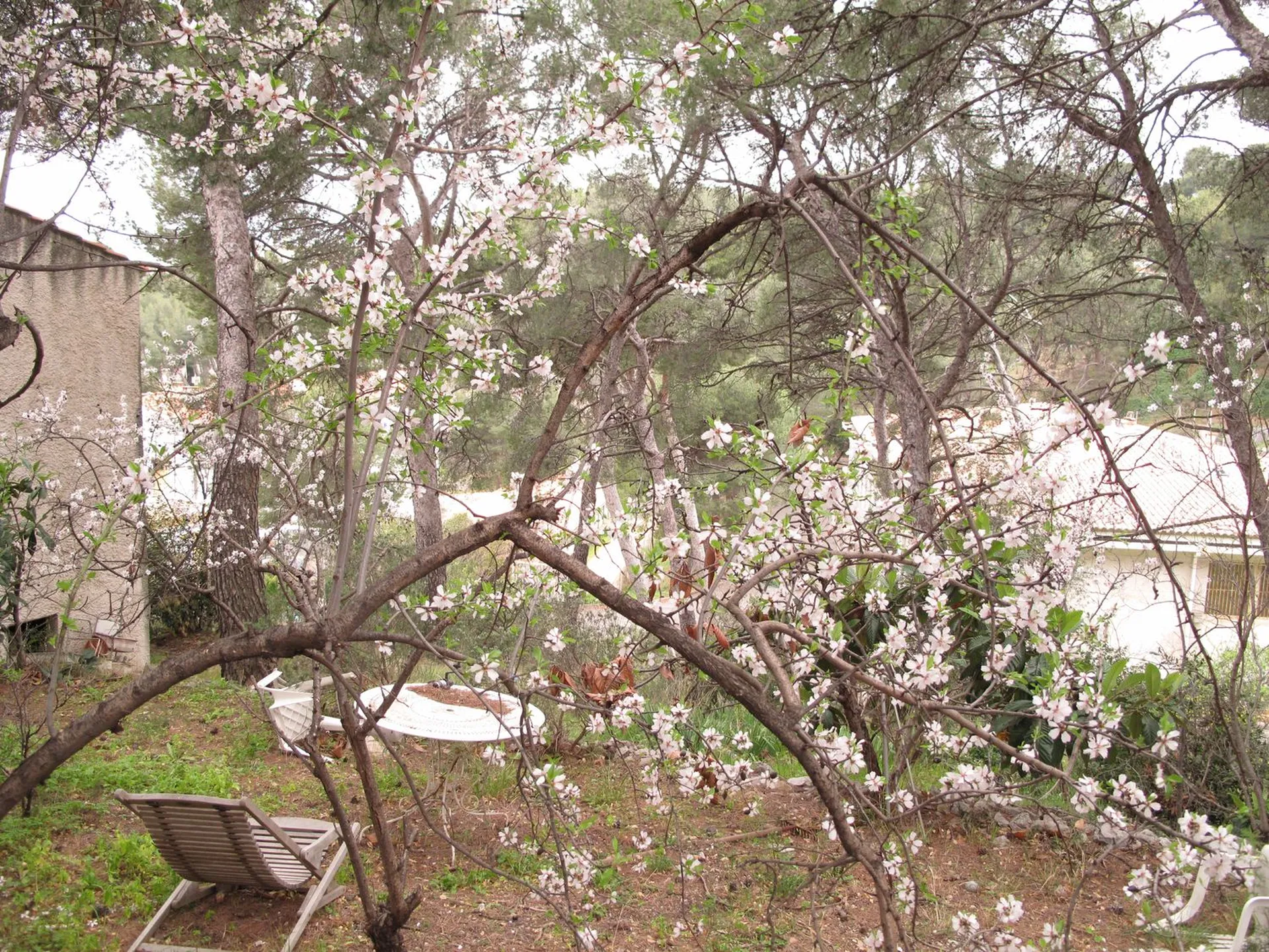 Cassis maison à l'achat 