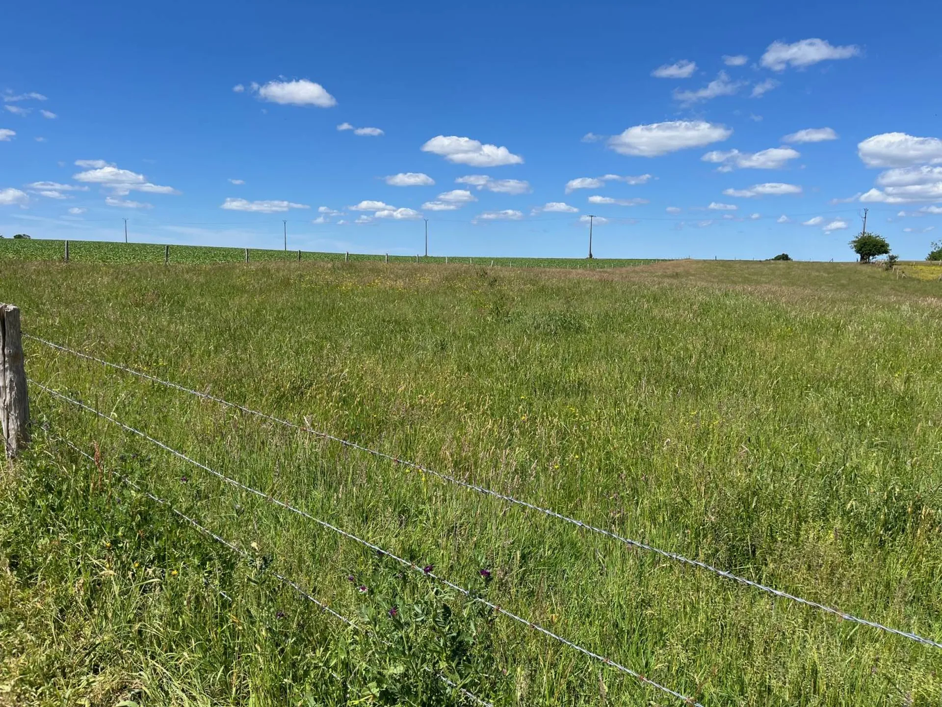 A vendre, terrain à bâtir, situé à Triquerville - Axe Caudebec en Caux / Lillebonne