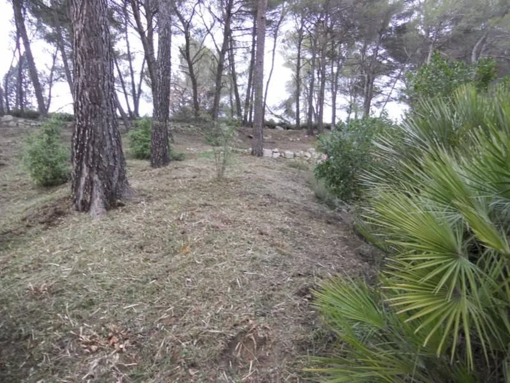 Débroussaillage d'une fôret par Les Jardins de Romain à Trets.