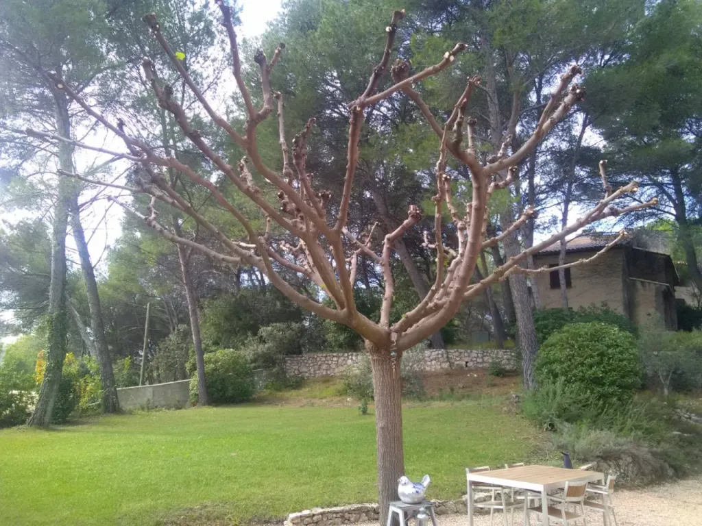 Nos prestations sur le secteur deà Saint Chamas proche Istres