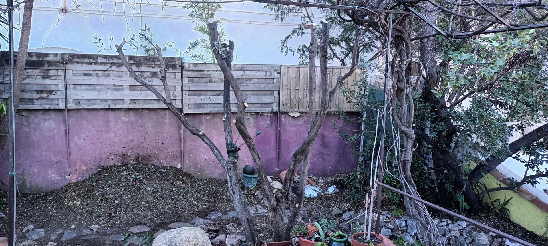 Défrichage pour travaux. 