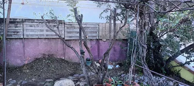 Défrichage pour travaux. 