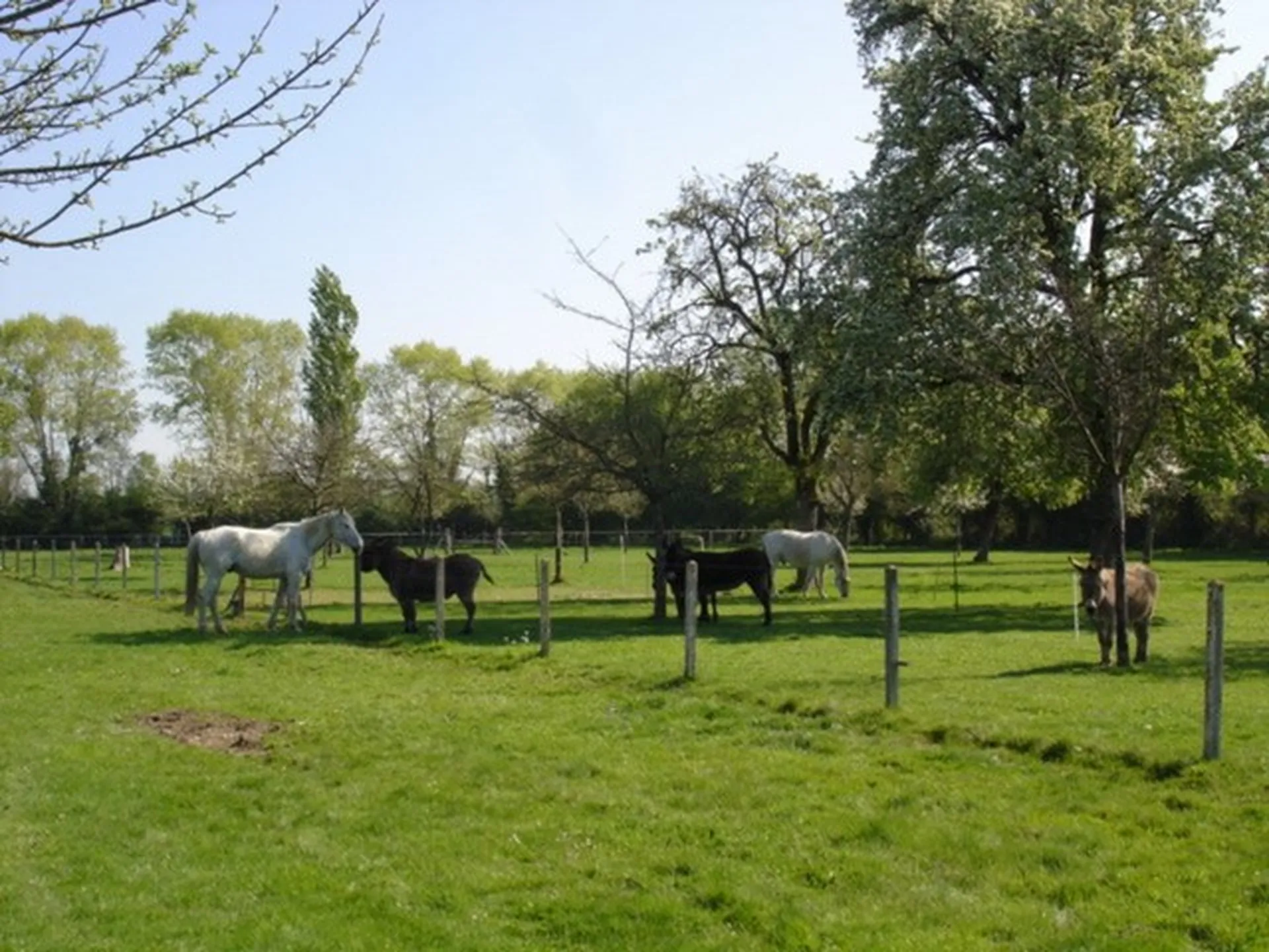 CHAUMIERE PROCHE LIVAROT PAYS-D'AUGE