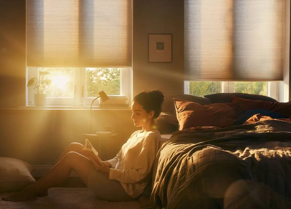 Store Duette pour protection solaire Lyon ( photo crédit Jab)