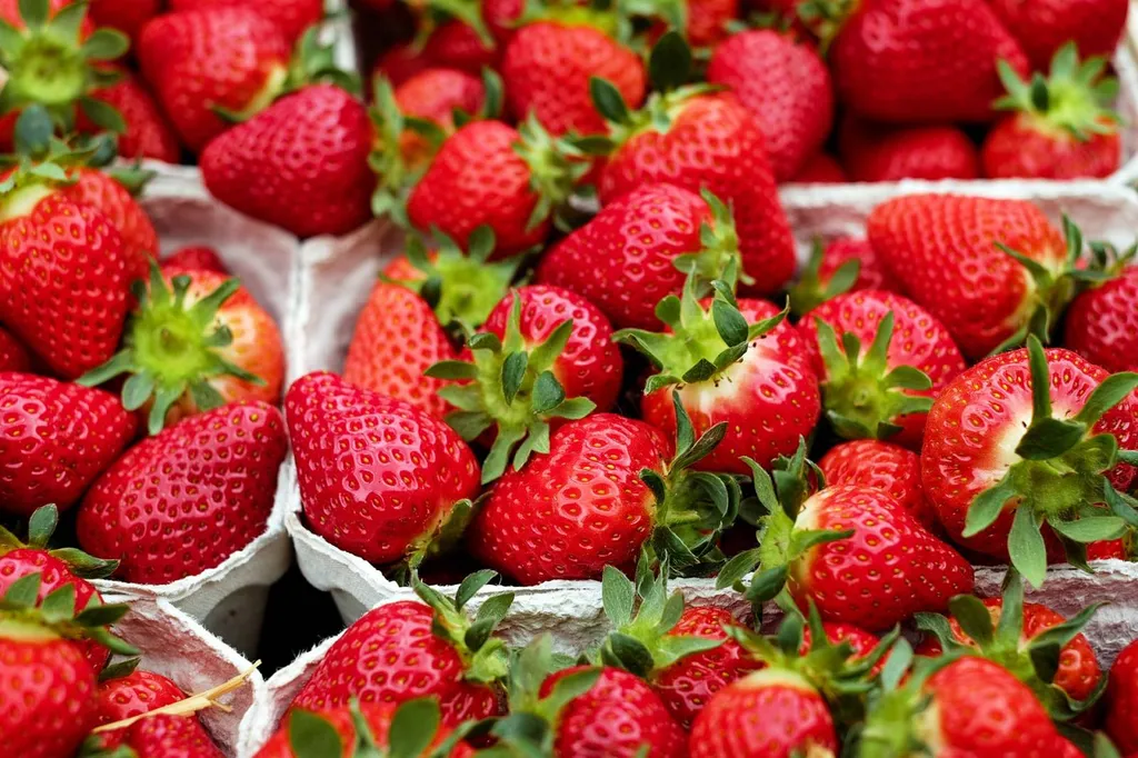 Fraise en provenance d'Espagne à livrer rapidement
