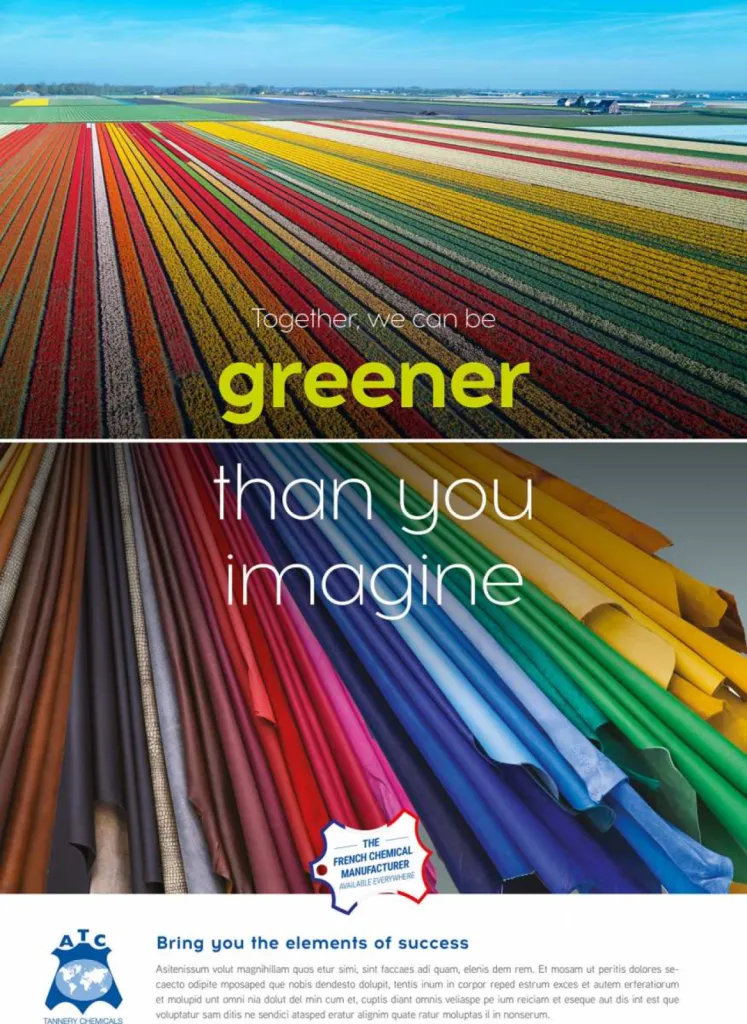 photographie publicitaire pour illustrer un champ de tulipes