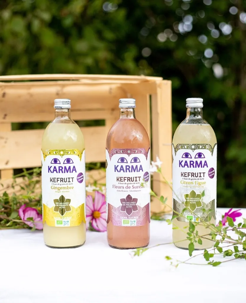 Découvrir les bienfaits du Kefir d'eau bio KARMA et VITAMONT et les acheter près de Belleville en beaujolais