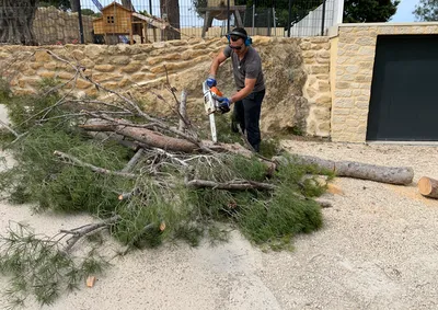 Entreprise de paysagistes élagueurs à Saint-Rémy-de-Provence, 13210, offrant des services d'élagage et d'entretien d'arbres dans les Alpilles, avec expertise et soin