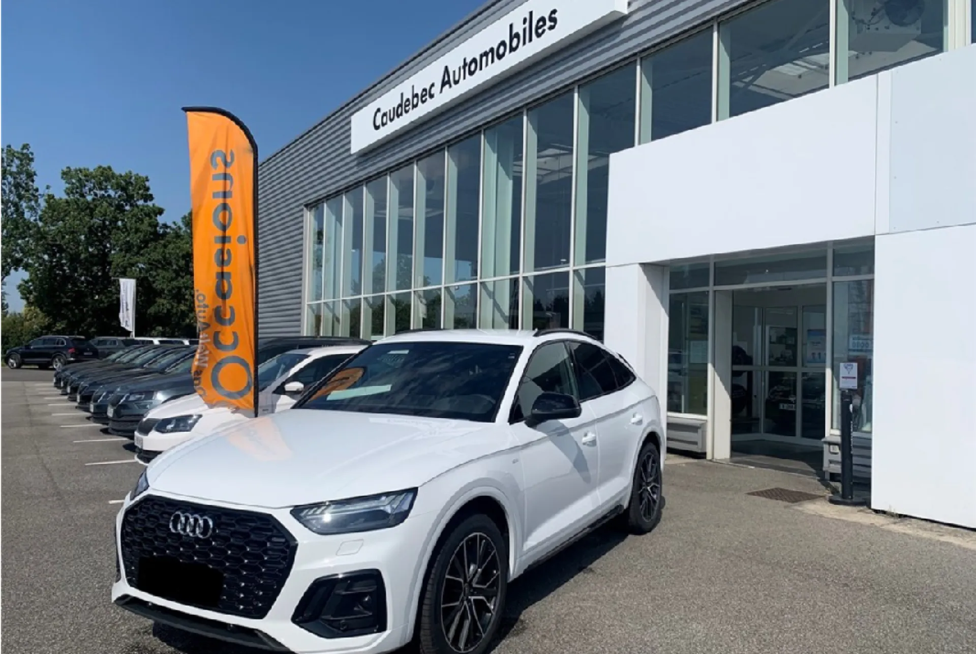 Audi Q5 Sportback diesel 163ch d'occasion mis en vente proche de Port-Jérome-Sur-Seine 76