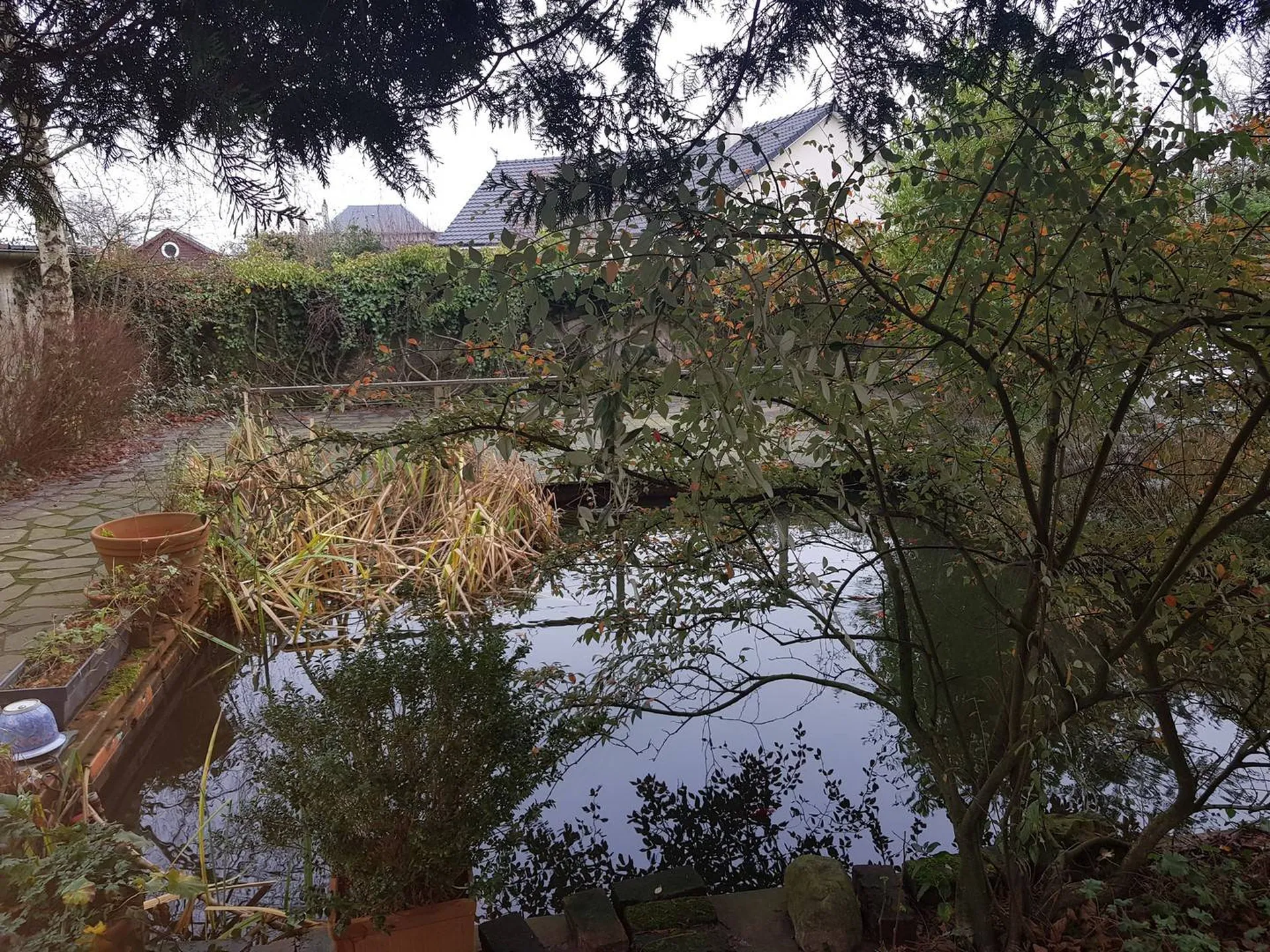 recherche maison au calme, 3 chambres, garage, 76.