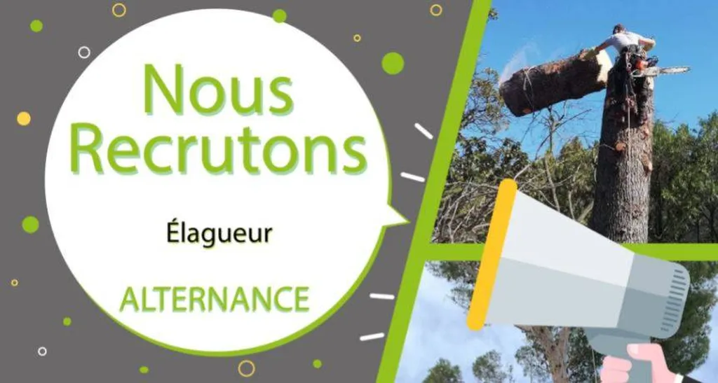 Carré Vert Nous Recrutons élagueur paysagiste maçon