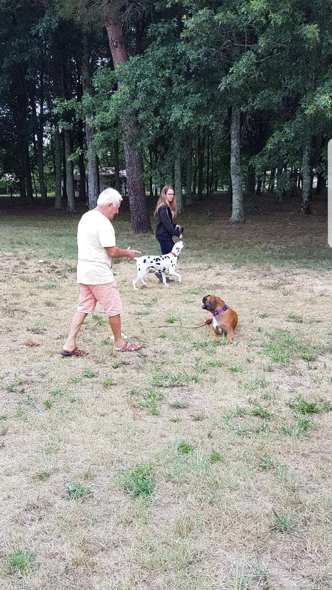 trouver une formation d'éducateur canin sur le bassin d'Arcachon