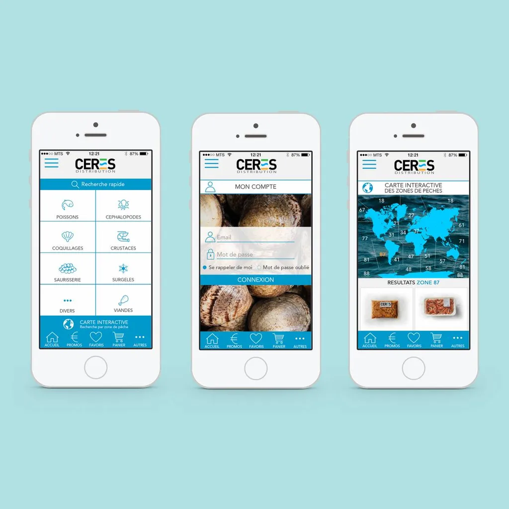 web designer création d'application mobile pour grossiste 