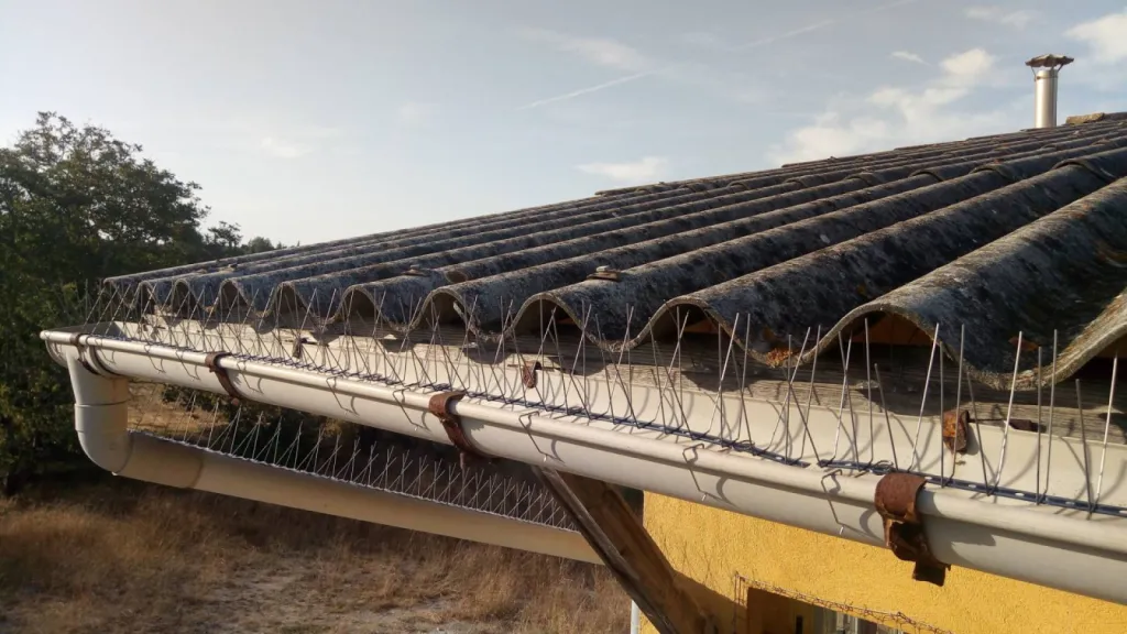 piques contre pigeons gouttière pas cher