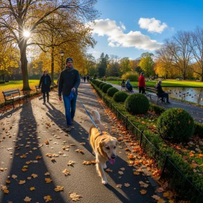 Balade de chien en ville ou parc sécurisé à Haguenau et Schweighouse-sur-Moder