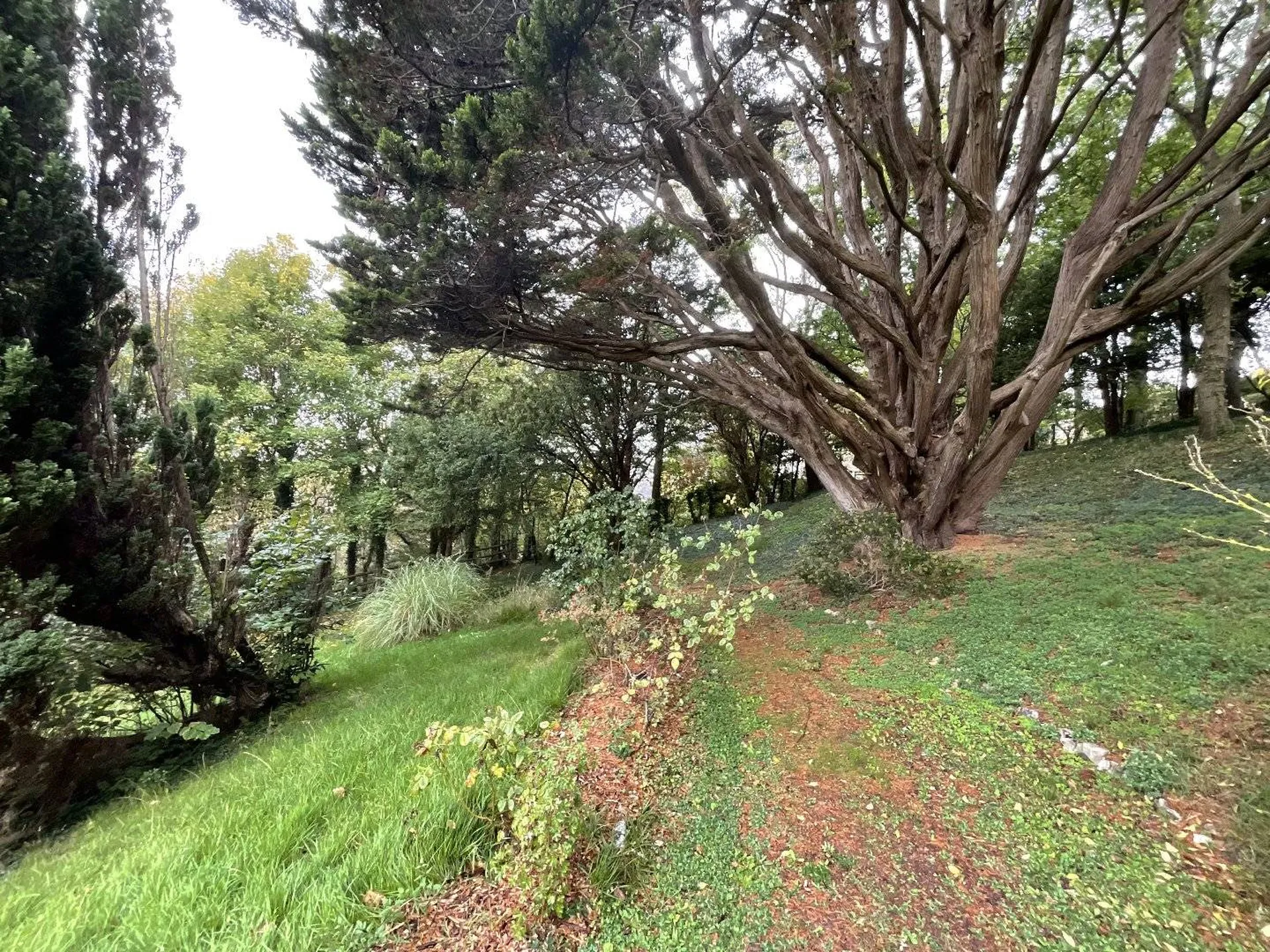 A vendre Villa des années 1950 d'environ 147m2, à 1km de la plage de Veules-les-Roses.