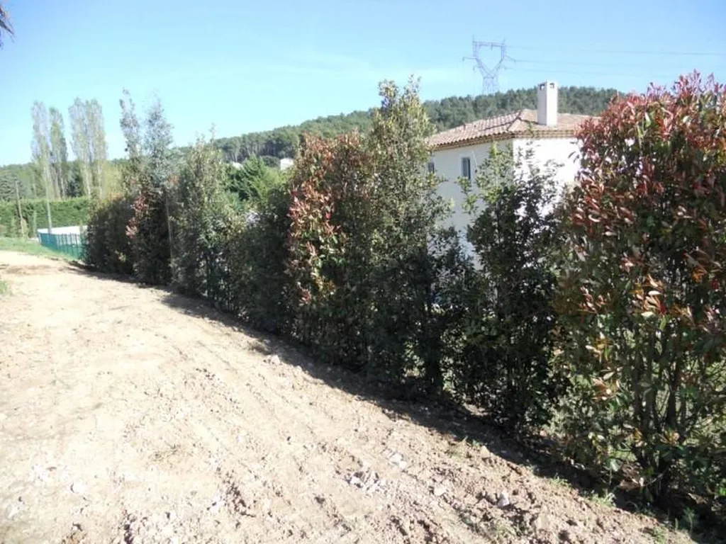 Plantation d'une Haie mixte par le paysagiste de Fuveau.