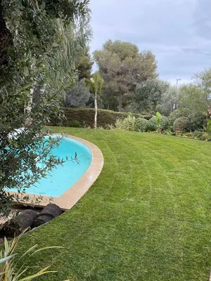 Jardin avec gazon et massifs arbustifs à Monaco