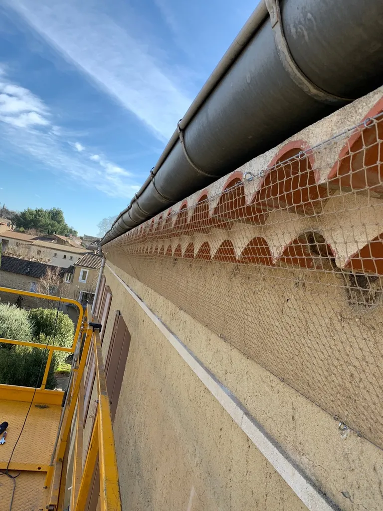 Professionnel du dépigeonnage en région PACA