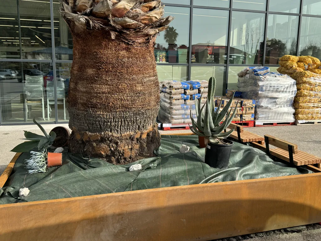 Rognage de souche et reprise d’enrobé à Bandol – Jardivar