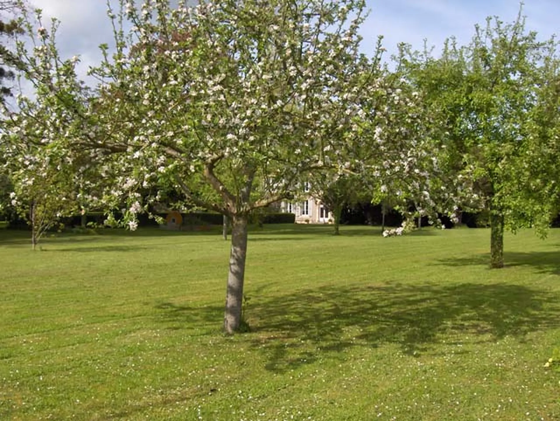 CHATEAU XIXème Entre CAEN et LISIEUX